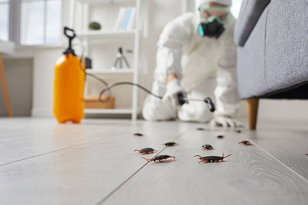 Commercial Kitchen Cockroach Control in East Prairie
